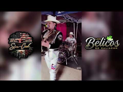 (2024) Entre los Cerros y Pinos- Los Belicos de Culiacan