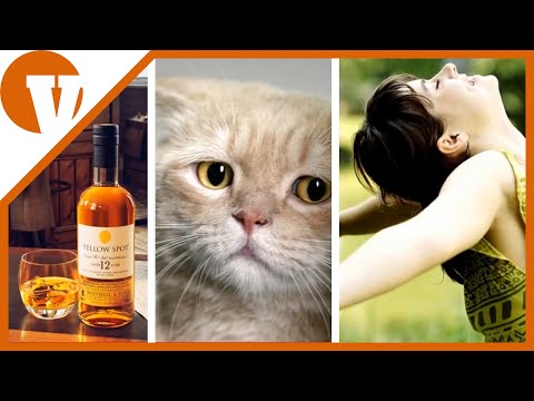 whisky show | varsanyiporteka.hu