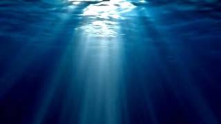 Rusticiallegri - Iambic 5 poetry (Squarepusher)