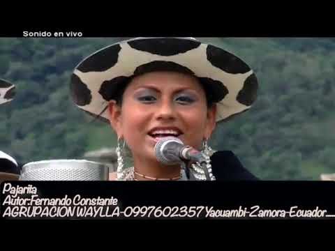 PAJARITA Agrupación WAYLLA desde Yacuambi Zamora Chinchipe