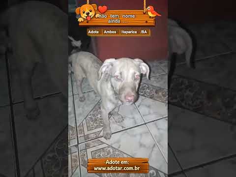 Vídeo de não tem nome ainda...