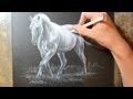 Drawing a Horse with a White Colored Pencil ...