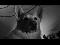 GOJIRA - L'Enfant Sauvage [OFFICIAL VIDEO ...