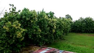 preview picture of video 'Heavy RAIN @ R.N.YADAV FARMHOUSE'