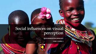 Social Influences on Visual Perception