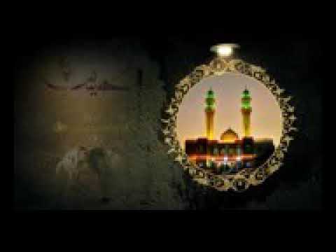 زيارة وارث بصوت يبكي المستمعين - علي حمادي