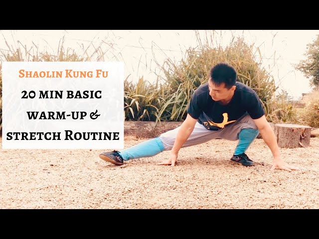 NEW| 20 min Basic Shaolin Kung Fu Warm-up and Stretch Routine | Workout SDDEFAULT Thumbnail