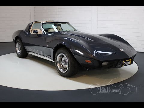 1978 Chevrolet Corvette (CC-1419033) for sale in Waalwijk, Noord-Brabant