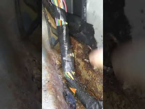 Ford F150 Ground problem, no blower controls