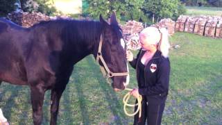 Sunset atmosphere; Sofie &amp; Baloo