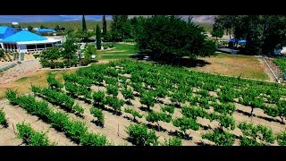 Spirit of Nevada - Pahrump Valley Winery
