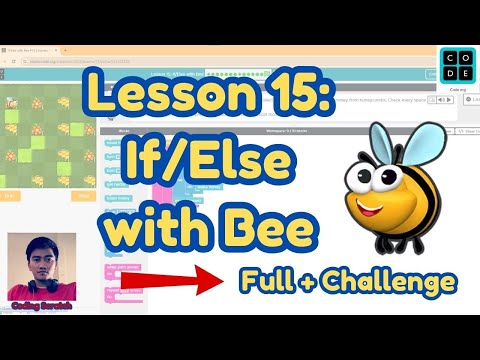 Code.org Lesson 15: If/Else with Bee | Express Course 2024 | Code.org Answer