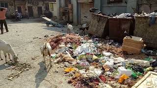 The God Of All Little Things Lives On a Garbage Dump