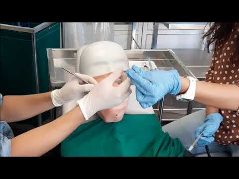 Transferencia instrumental dental. Técnica 4 manos