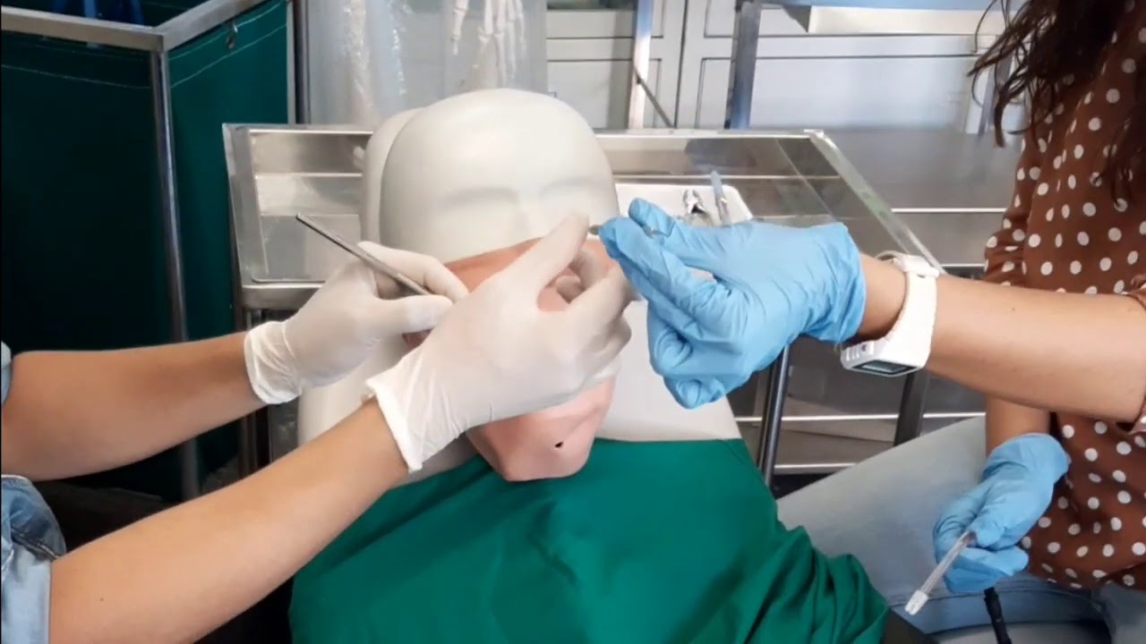 Transferencia instrumental dental. Técnica 4 manos