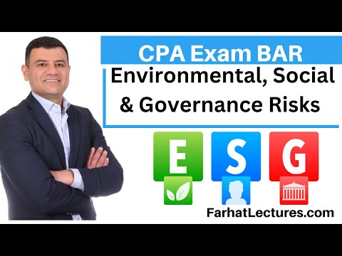 Financial Risks and Mitigation CPA Exam Business Analysis and Reporting BAR