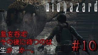 【ホラー】＃１０バイオハザードHDリマスター
