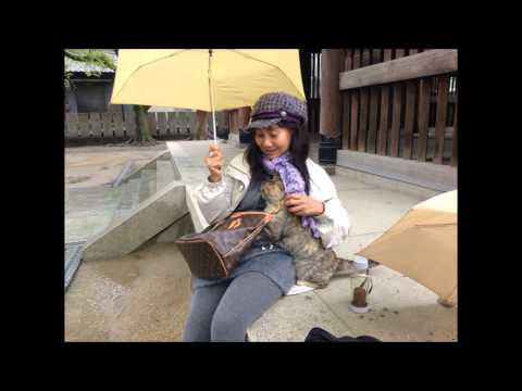 Ruchi and cat in Ishikiri Nara