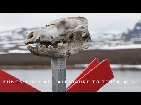 Kungsleden #2 - Alesjaure to Teusajaure