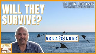 🔥 Aqualung’s Collapse: Will HEAD’s Takeover Sink Your Dive Gear?