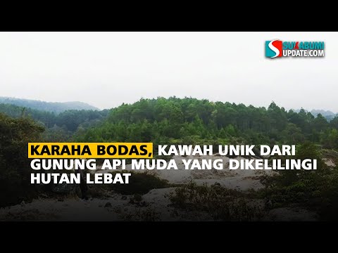 Karaha Bodas, Kawah Unik dari Gunung Api Muda yang Dikelilingi Hutan Lebat