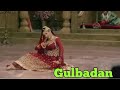 Gulbadan Latest Love Status WhatsApp Status