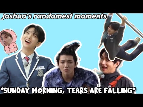 Joshua is SEVENTEEN'S most normal member (not)
