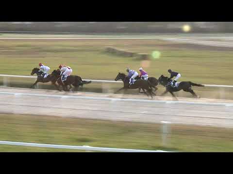 2020.12.06. 08. futam - ROSENFIRE HENDIKEP (III.o.) (szintetikus pálya)