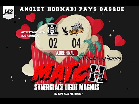 [Highlights SLM J42] Les Dragon de Rouen Vs Anglet Hormadi Pays Basque