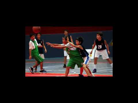 [Wikipedia] El Semillero