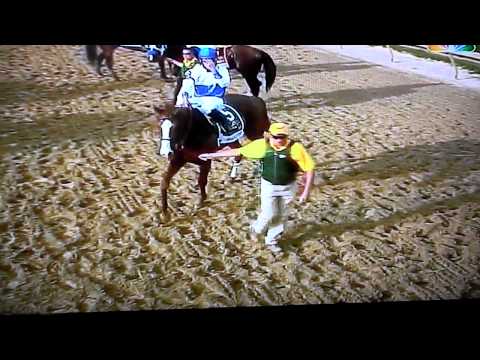 136th Preakness Stakes may- 21- 11 Baltimore