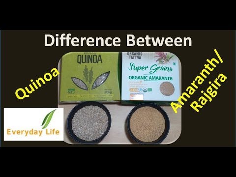 download lagu mp3 mp4 Difference Between Amaranth And Quinoa, download lagu Difference Between Amaranth And Quinoa gratis, unduh video klip Difference Between Amaranth And Quinoa