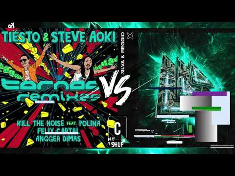 Steve Aoki & Tiësto - Tornado vs Sandro Silva & REGGIO – X (Cadres Shup)