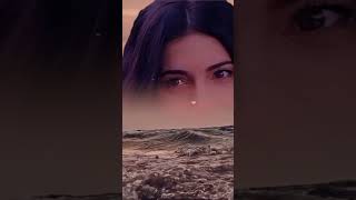 محمد فؤاد الله عليك الثمن