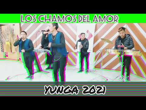 LOS CHAMOS DEL AMOR | YUNGA | ZAPATEADITO EXITO 2022