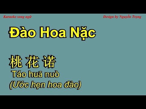 Karaoke (Nữ) - 桃花诺 - Đào Hoa Nặc  旺仔小乔 (伴奏 Am + Tone Nam C#)m Tao hua nuo