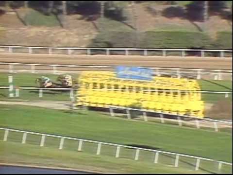 1984 Breeders' Cup Turf