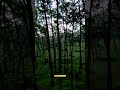 Travel Whatsapp Status Shorts Short Travelling Tamil Song Video Nature