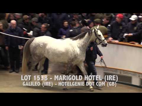 Tattersalls December Mare Sale Day 1 2016