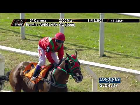 211211 c03 CORAZON DE LEON