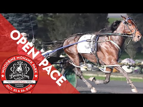 2019 Breeders Crown - American History - Open Pace