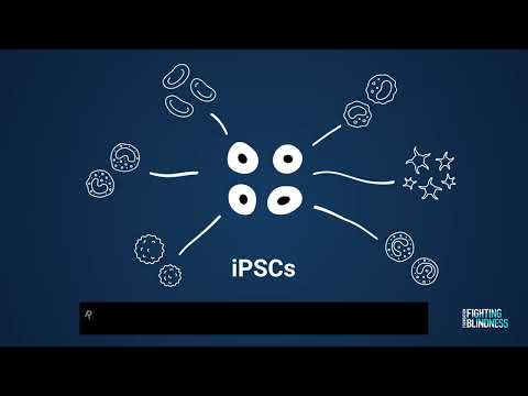 Induced Pluripotent Stem Cells (iPSCs): The Future of Regenerative