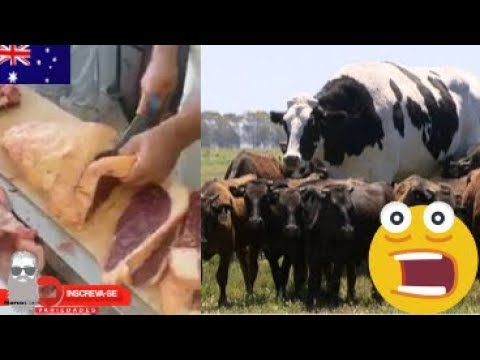 A Maior Picanha Que Eu Já Comi Australiana Será Que Presta ? #Top D +