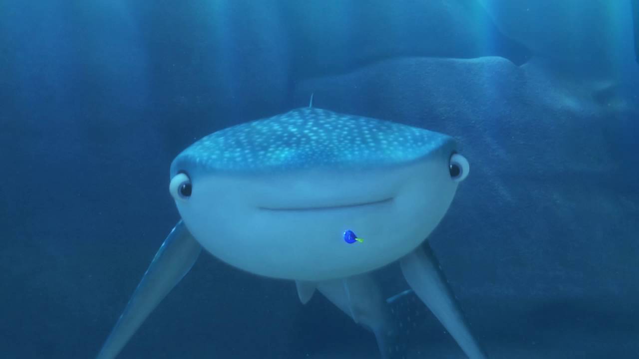 Trailer 2 - Procurando Dory  - 30 de junho de 2016
