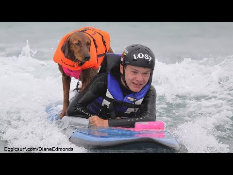 Surfing dog teaches disabled kids to surf!