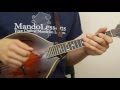Ducks On The Millpond (With Tabs & Play Along Tracks) - Mandolin Lesson