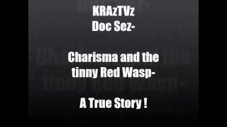 Charisma and the Red Wasp  A True Story