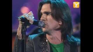 Juanes, Sueño Libertad, Festival de Viña 2005