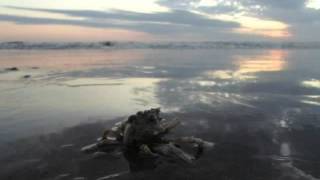 Atado a tu frontera - Luis