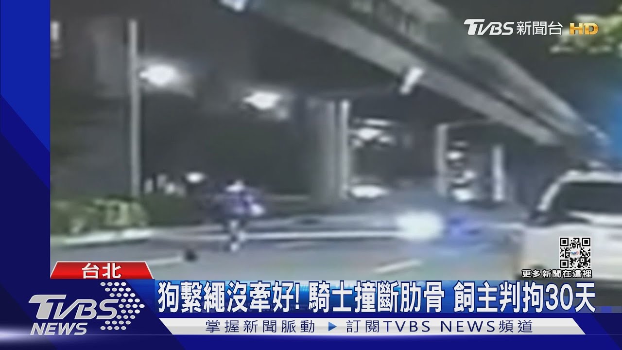 狗繫繩沒牽好!騎士撞斷肋骨 飼主判拘30天